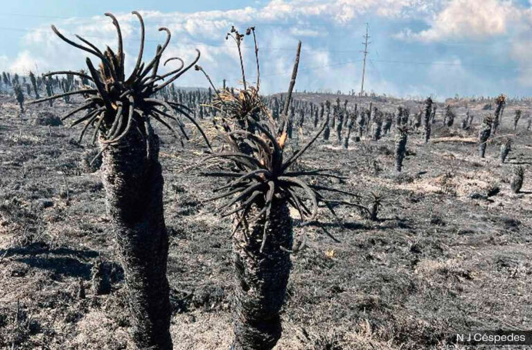 CAMBI CLIMATICO