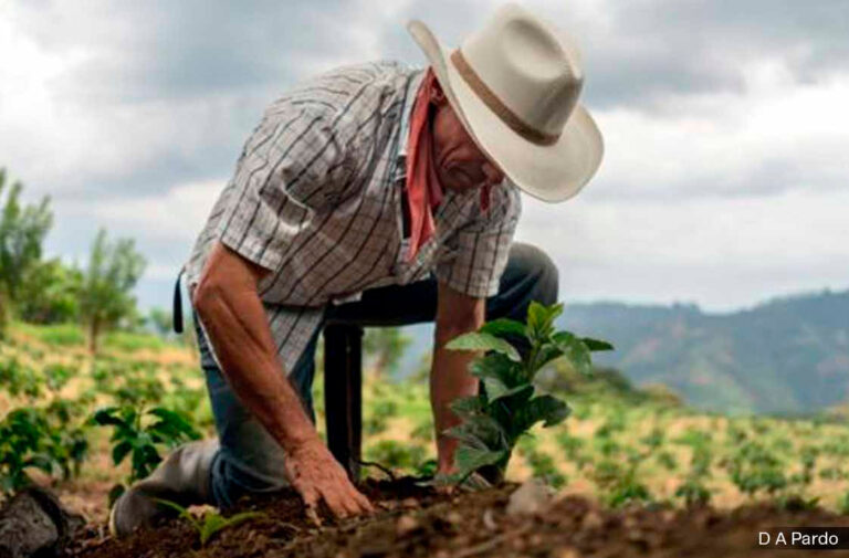 DECLINAR LA APERTURA ECONÓMICA