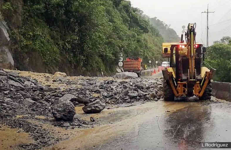 Screenshot 2025-09-16 at 13-13-15 INSURRECCION_1017-WEB.pdf