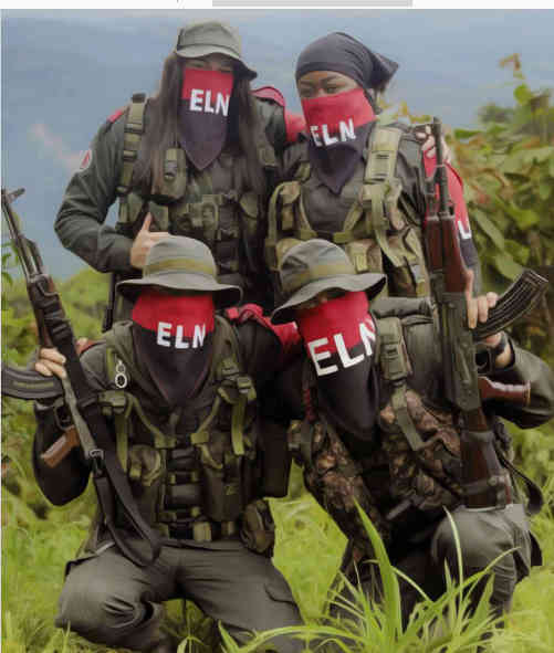 Screenshot 2025-10-13 at 15-10-17 INSURRECCION_1021-WEB.pdf