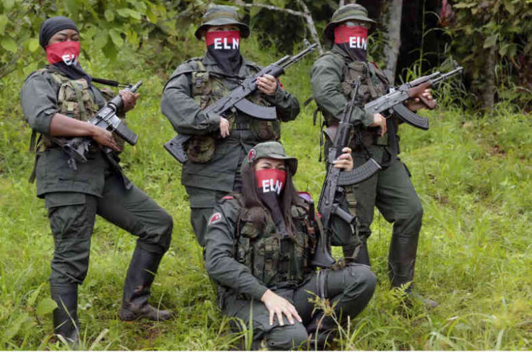 Screenshot 2025-10-13 at 15-12-39 INSURRECCION_1021-WEB.pdf