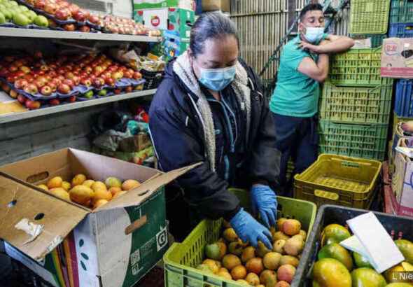 Screenshot 2025-11-03 at 15-40-56 INSURRECCION_1024-WEB.pdf