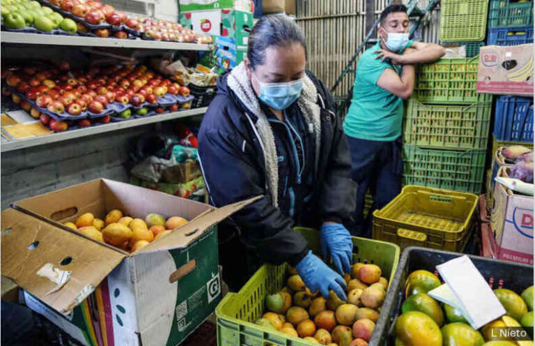 Screenshot 2025-11-03 at 15-40-56 INSURRECCION_1024-WEB.pdf