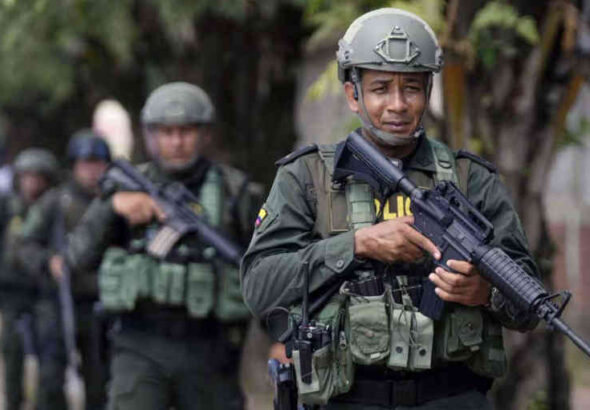 Screenshot 2025-11-03 at 16-04-57 INSURRECCION_1024-WEB.pdf