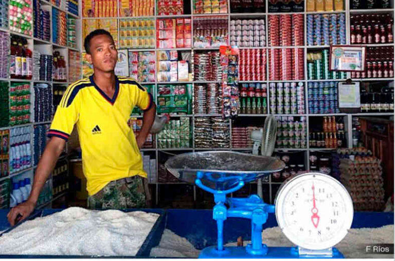 Screenshot 2025-12-02 at 19-33-03 INSURRECCION_1028-WEB.pdf