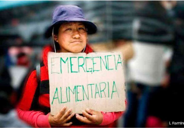 Screenshot 2026-02-25 at 15-43-28 INSURRECCION_1040-WEB.pdf