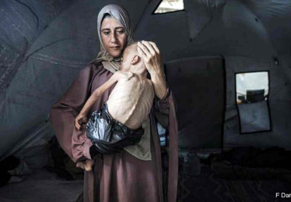 Screenshot 2026-03-04 at 01-43-52 INSURRECCION_1041-WEB.pdf