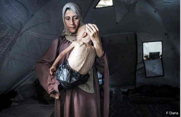 Screenshot 2026-03-04 at 01-43-52 INSURRECCION_1041-WEB.pdf