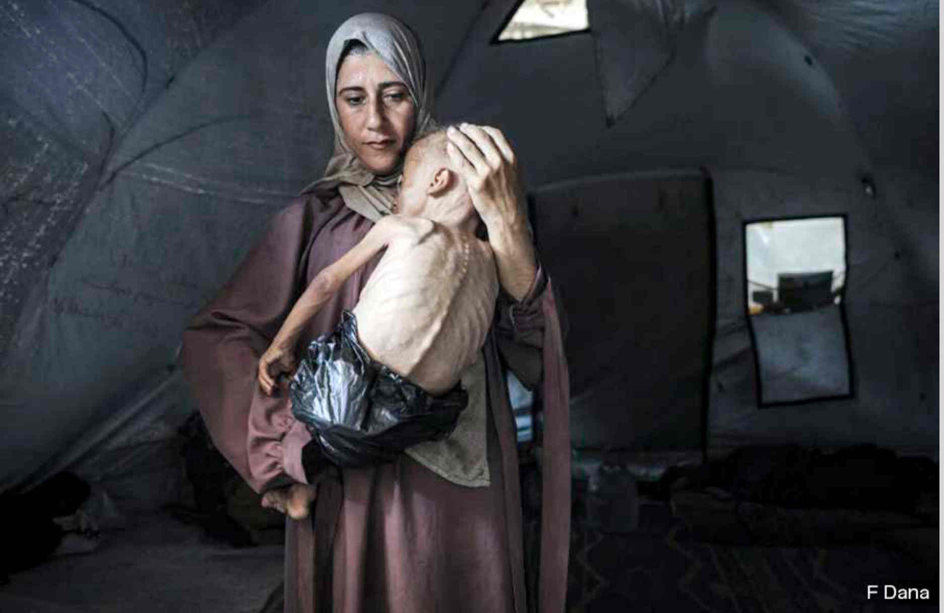 Screenshot 2026-03-04 at 01-43-52 INSURRECCION_1041-WEB.pdf