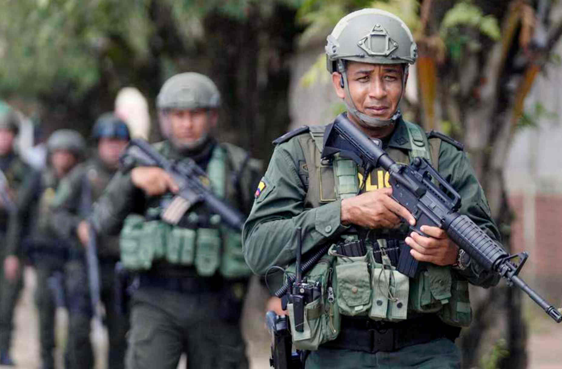 Screenshot 2026-03-16 at 14-18-24 INSURRECCION_1043-WEB.pdf