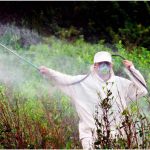 Screenshot 2026-04-19 at 11-09-56 INSURRECCION_1047-WEB.pdf