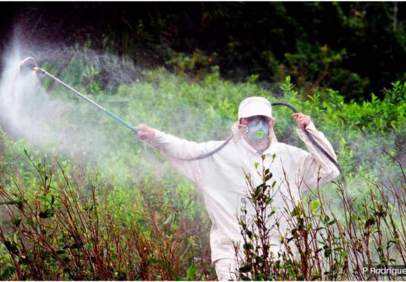 Screenshot 2026-04-19 at 11-09-56 INSURRECCION_1047-WEB.pdf