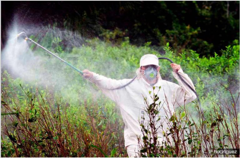 Screenshot 2026-04-19 at 11-09-56 INSURRECCION_1047-WEB.pdf