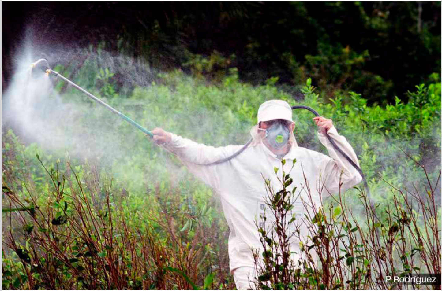 Screenshot 2026-04-19 at 11-09-56 INSURRECCION_1047-WEB.pdf