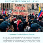 articulo Nico
